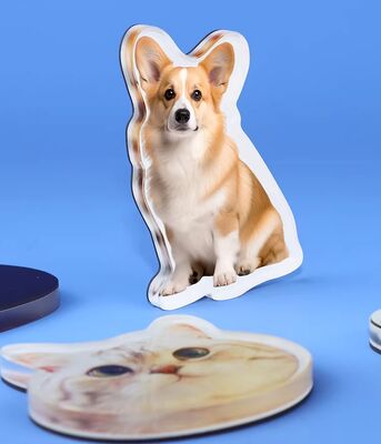 Ευτυχισμένο δώρο Προσαρμοσμένη κατασκευή Σχεδιασμός κατοικίδιων ζώων Ακρυλικό ψυγείο Μαγνήτης Γλυκό Anime Προσαρμογή Ολογραφικό πλαστικό αυτοκόλλητο