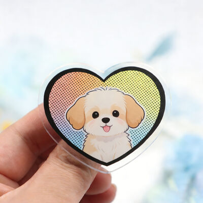 Custom Antique Acrylic Pin Badge – Personalized Cartoon Anime Logo for Hat, Clothes & Brooch